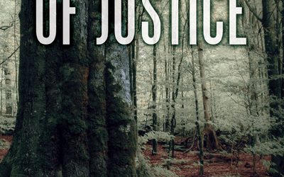 The Price of Justice (Innocent Prisoners Project Book 3)